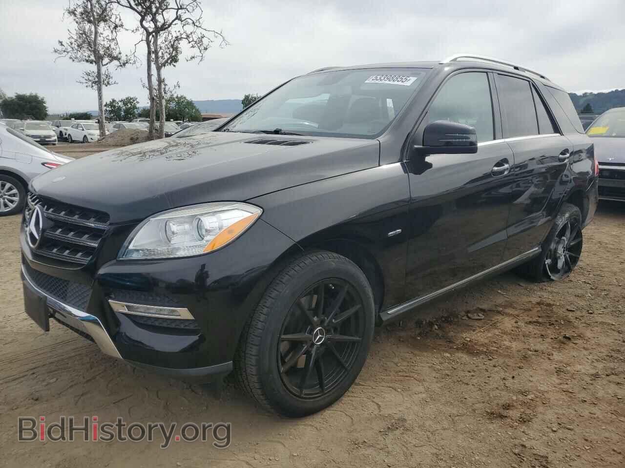 Photo 4JGDA5HB0CA035293 - MERCEDES-BENZ M-CLASS 2012