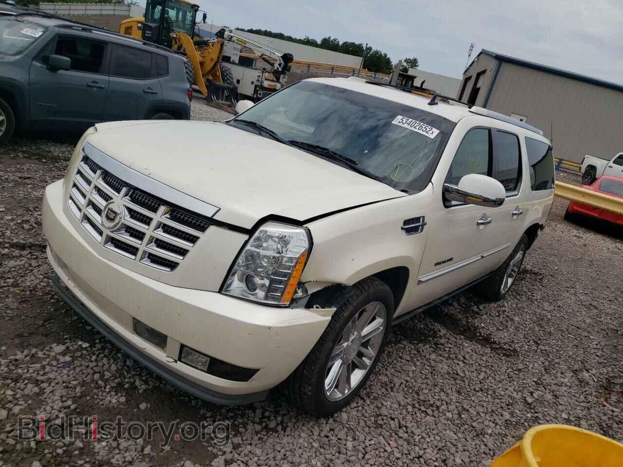 2011 CADILLAC ESCALADE - VIN: 1GYS4JEF3BR113563 - Фото 2