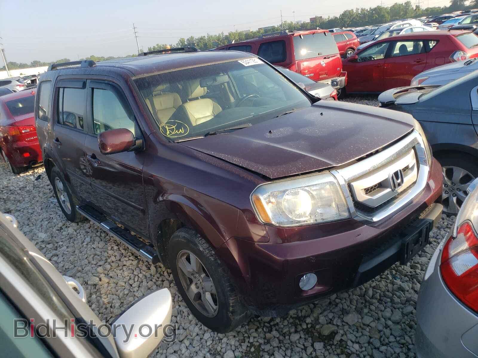 Photo 5FNYF4H62AB001543 - HONDA PILOT 2010