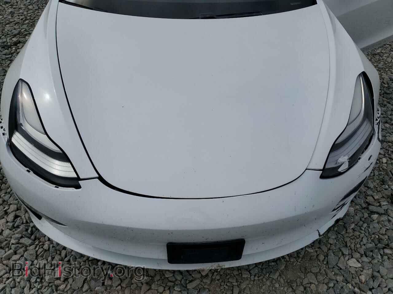 2019 TESLA MODEL 3 - VIN: 5YJ3E1EA9KF317530 - Фото 11