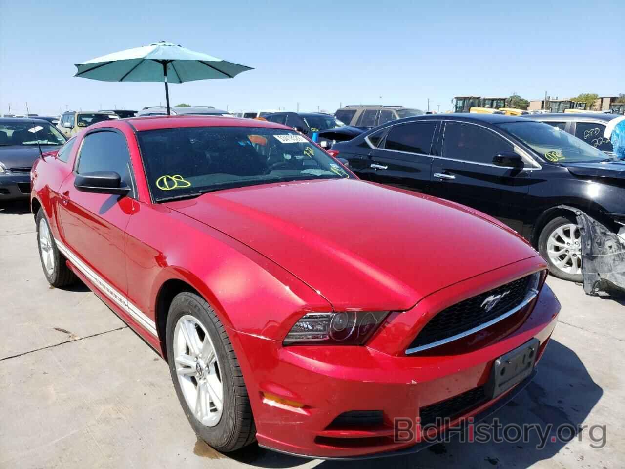 Photo 1ZVBP8AM1D5264077 - FORD MUSTANG 2013