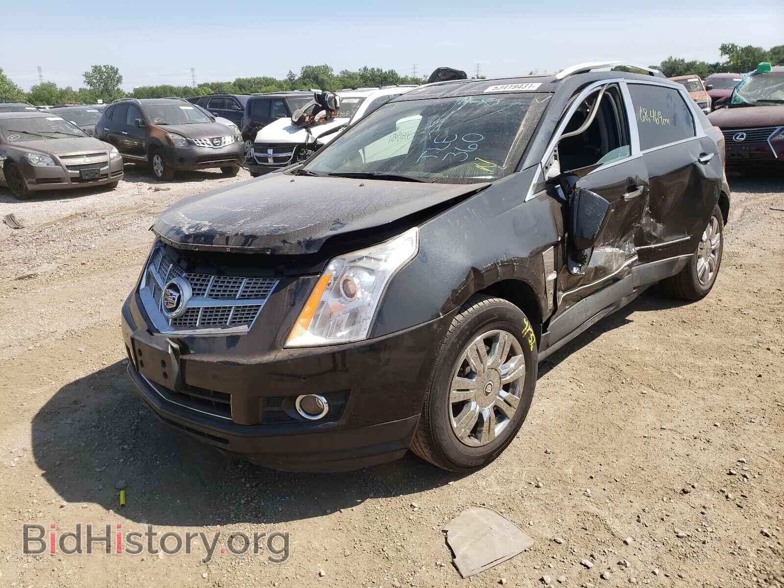 2011 CADILLAC SRX - VIN: 3GYFNDEY8BS673738 - Фото 2