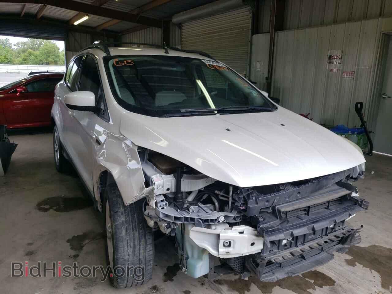 Фотография 1FMCU0GXXDUC41689 - FORD ESCAPE 2013