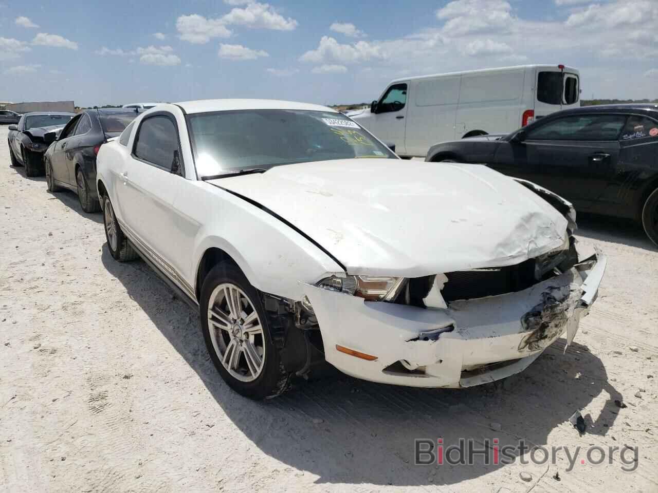 Photo 1ZVBP8AN9A5124153 - FORD MUSTANG 2010