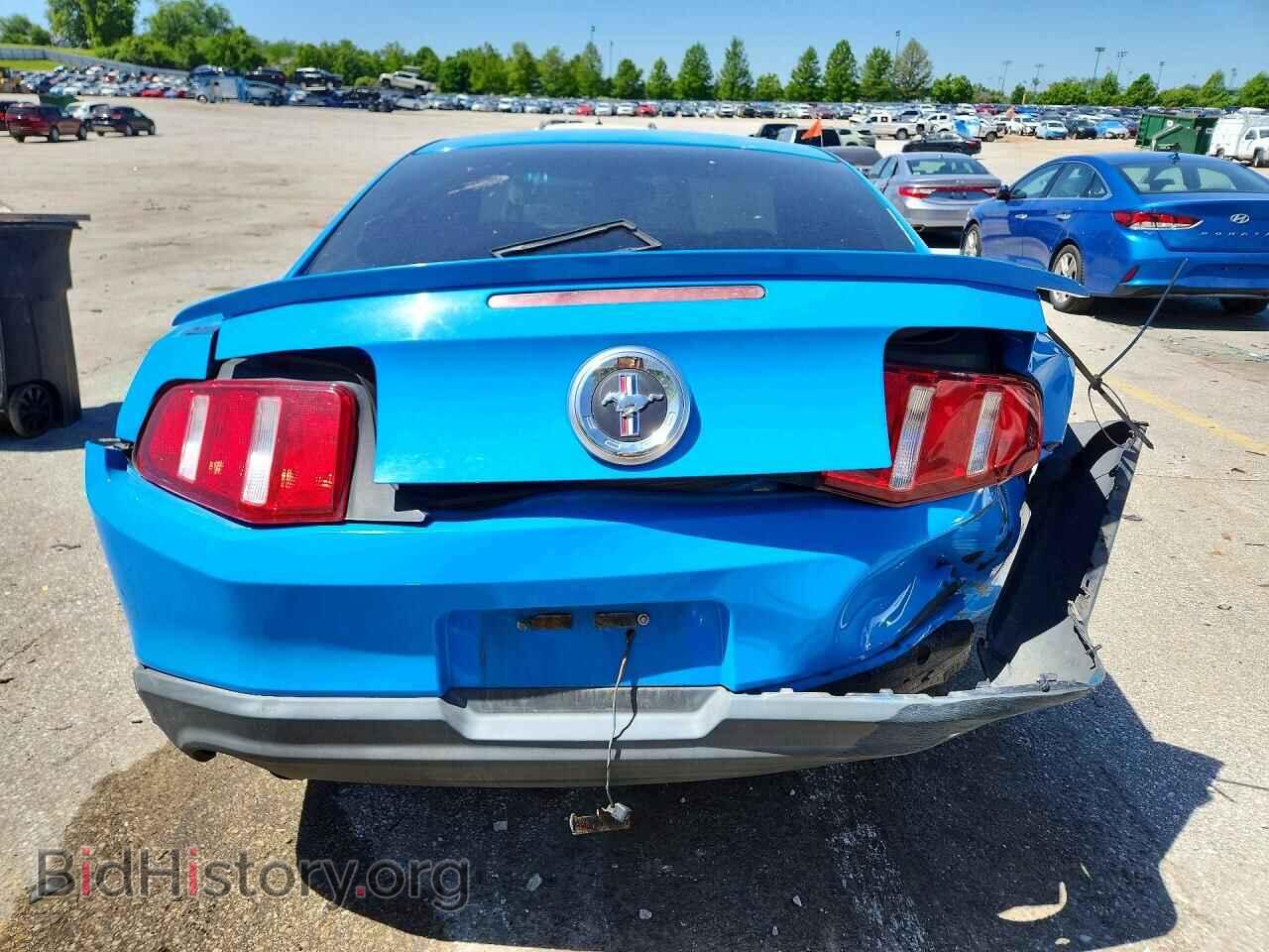 2010 FORD MUSTANG - VIN: 1ZVBP8CH3A5112894 - Фото 6
