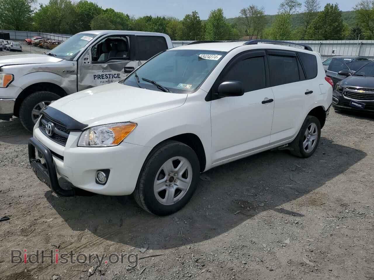 Photo 2T3BF4DV4CW196559 - TOYOTA RAV4 2012
