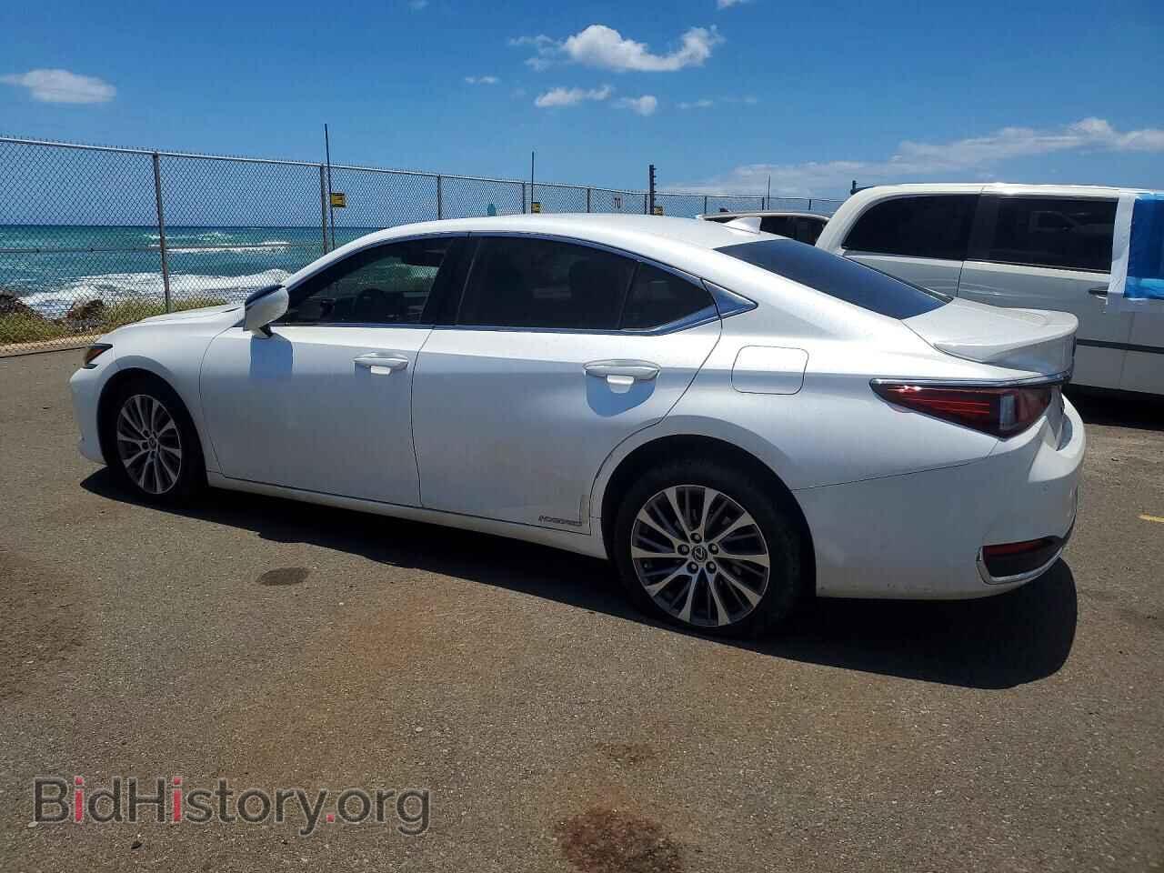 2019 LEXUS ES300 - VIN: JTHB21B17K2002574 - Фото 2