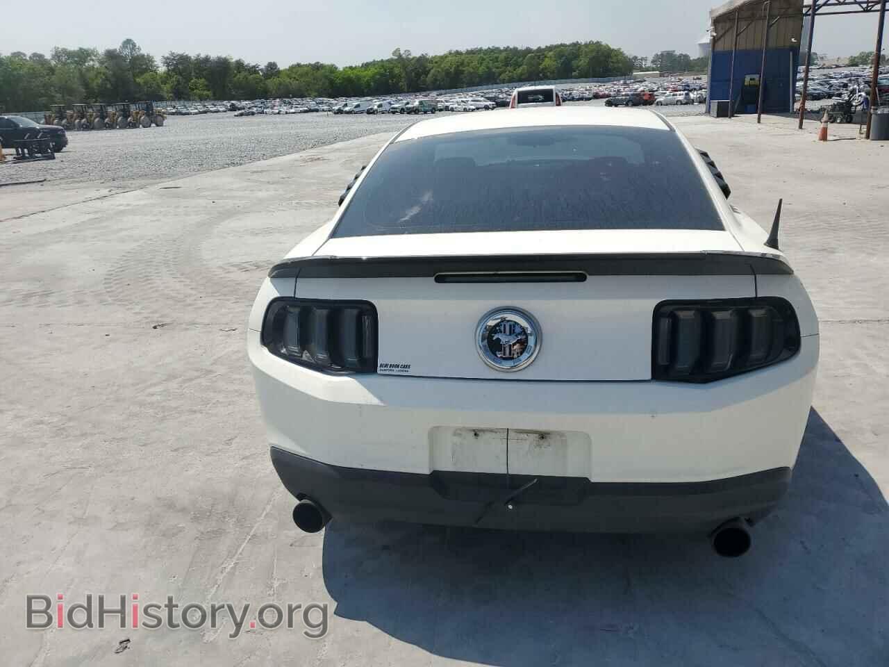 2010 FORD ALL Models - VIN: 1ZVBP8AN2A5117545 - Фото 6