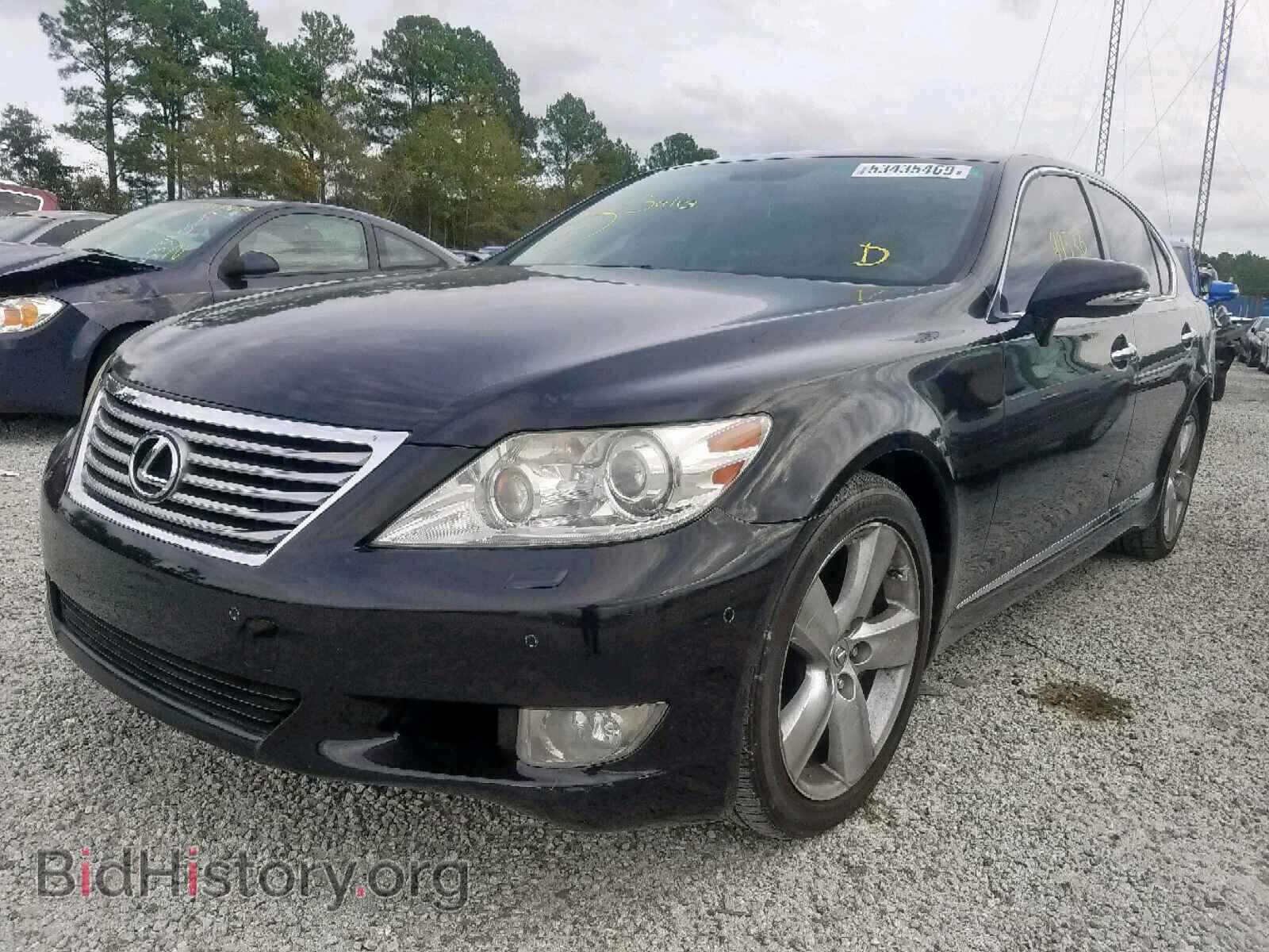 2011 LEXUS LS460 - VIN: JTHBL5EF6B5104331 - Фото 2