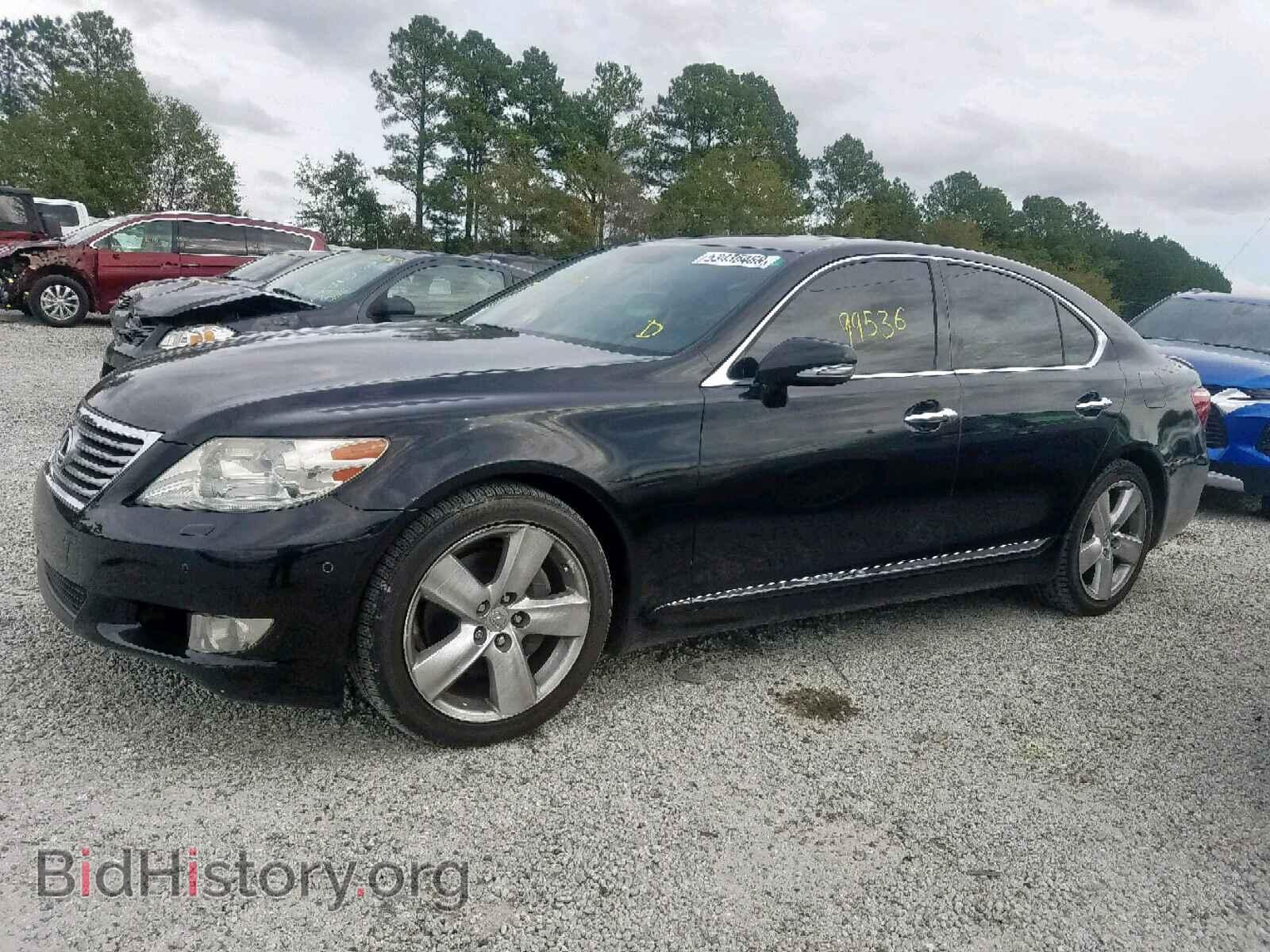 2011 LEXUS LS460 - VIN: JTHBL5EF6B5104331 - Фото 9