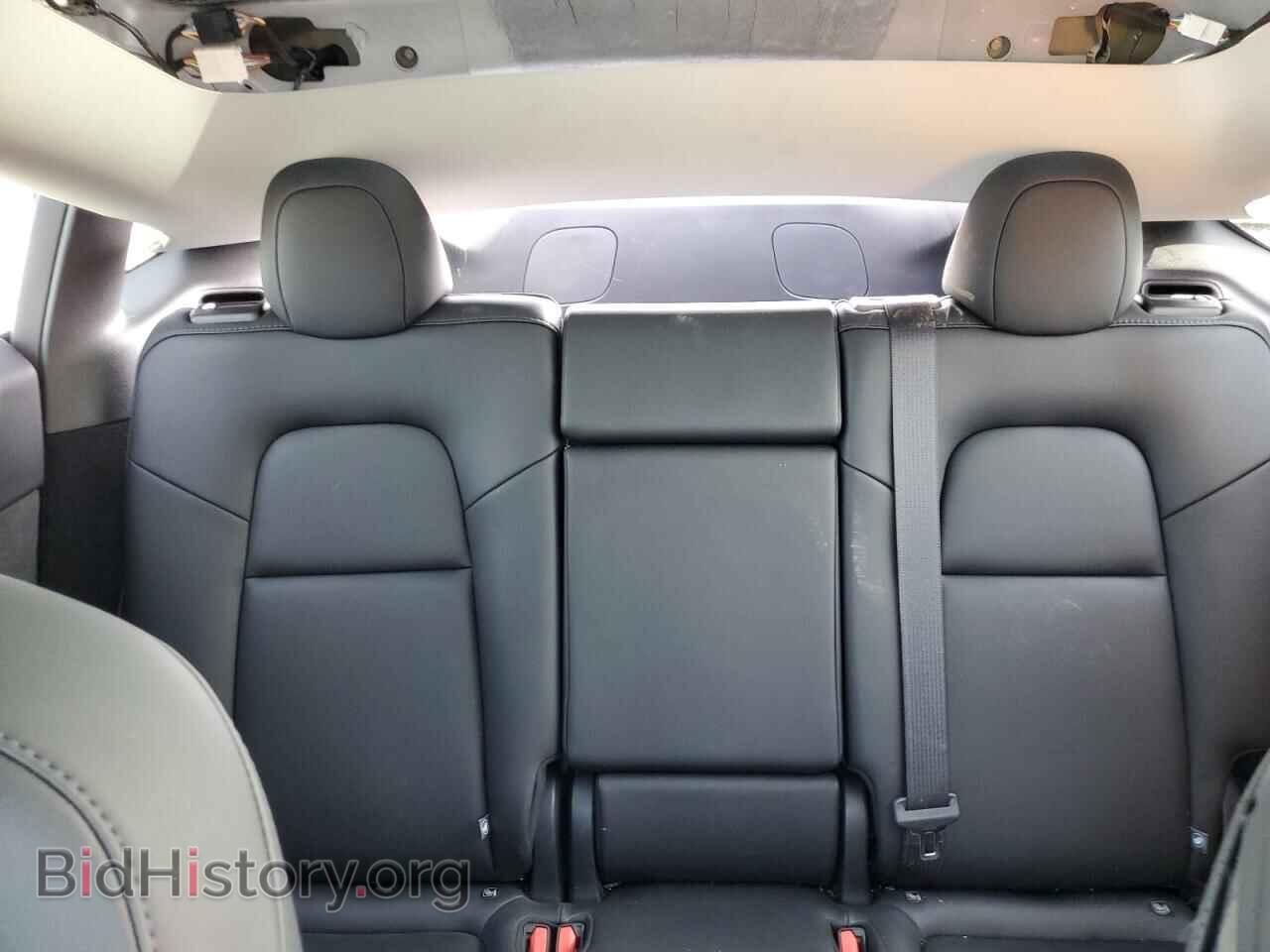 2024 TESLA MODEL Y - VIN: 7SAYGDEE8RF201768 - Фото 10