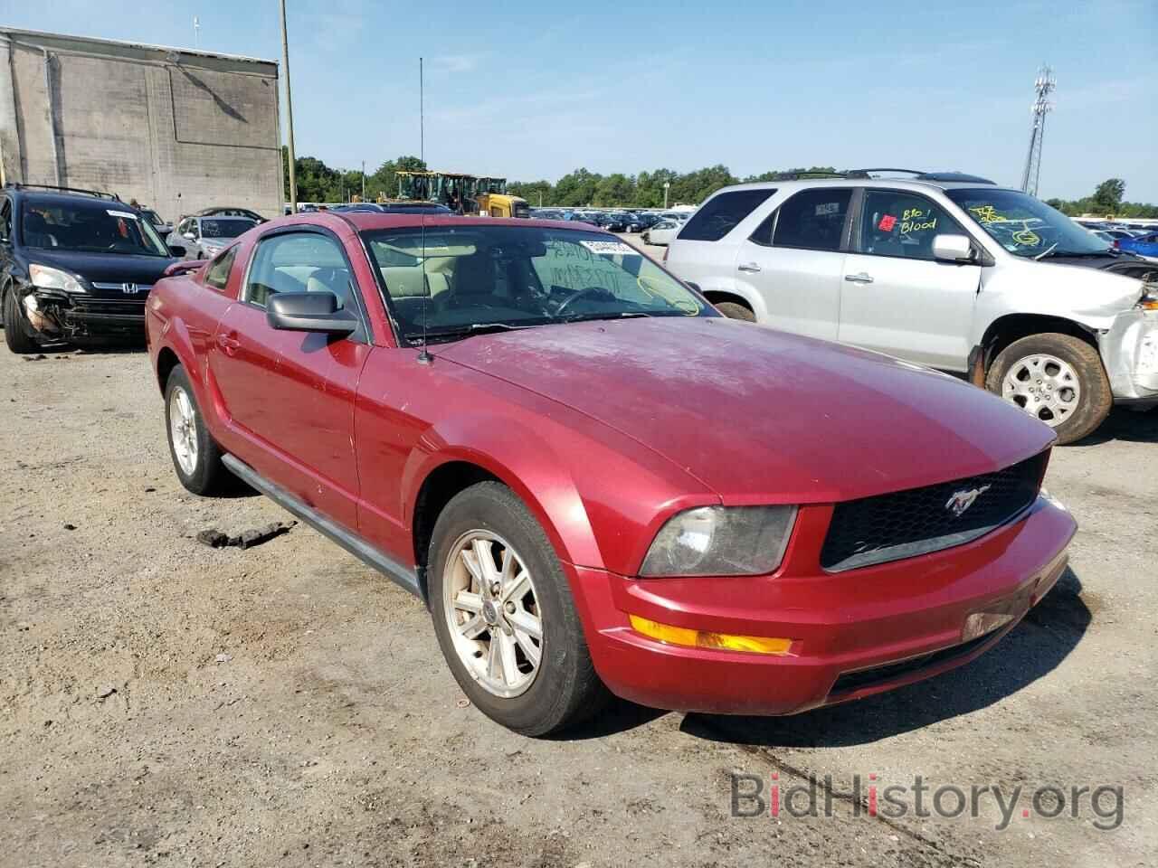 Photo 1ZVFT80N165178410 - FORD MUSTANG 2006