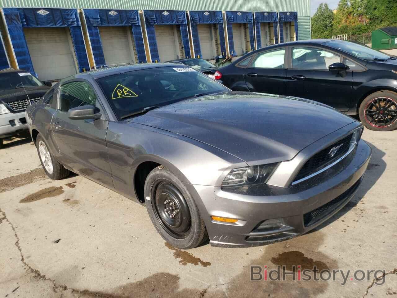 Photo 1ZVBP8AM6E5209254 - FORD MUSTANG 2014