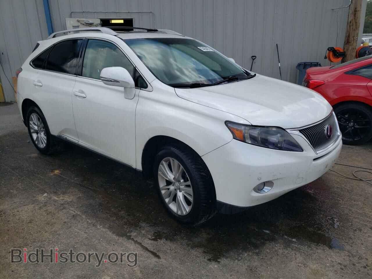 2010 LEXUS RX450 - VIN: JTJBC1BA2A2012004 - Фото 4