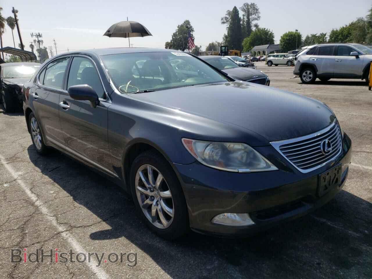 Фотография JTHGL46F375000353 - LEXUS LS460 2007