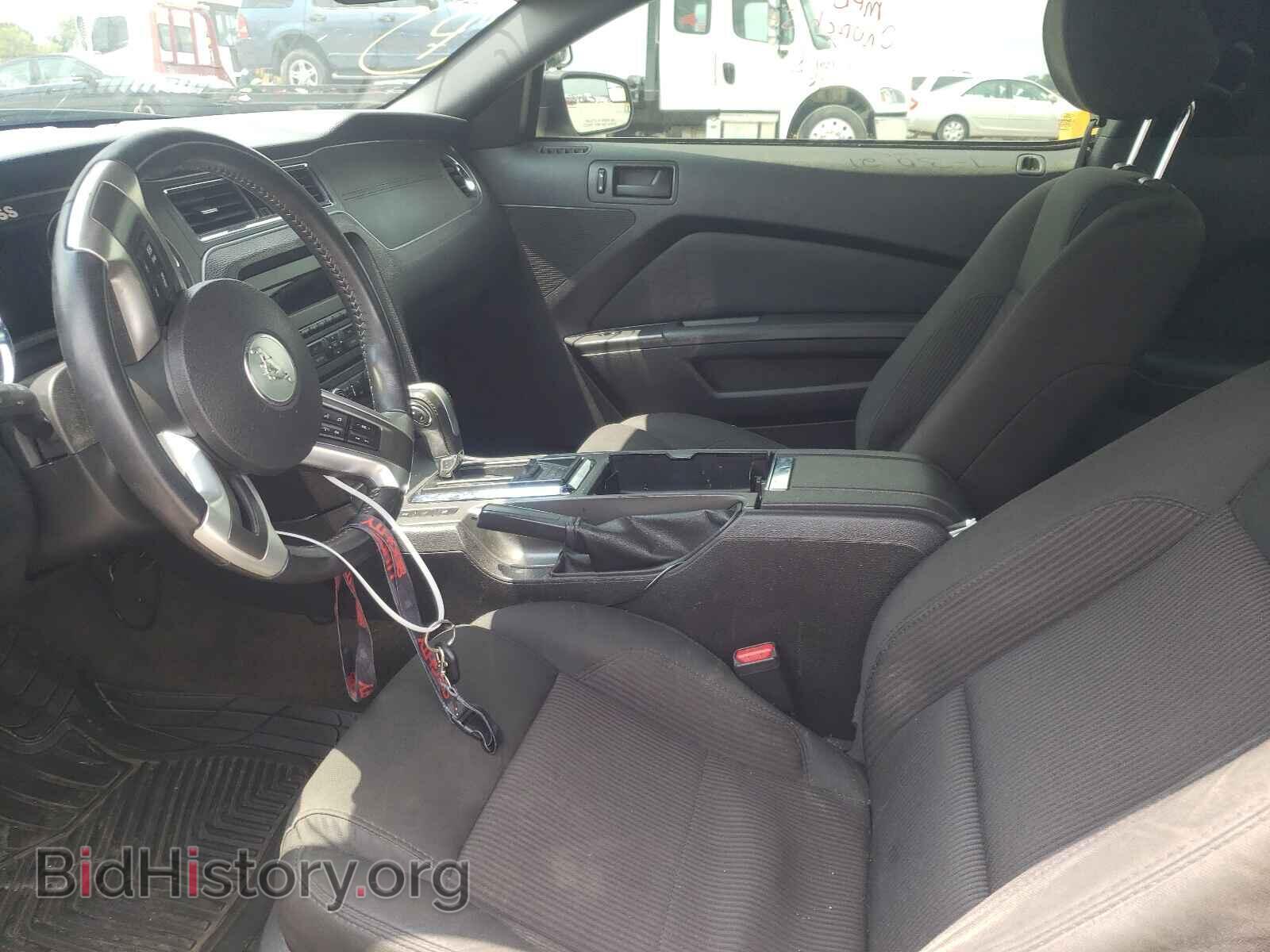 2013 FORD MUSTANG - VIN: 1ZVBP8AM2D5253704 - Фото 5