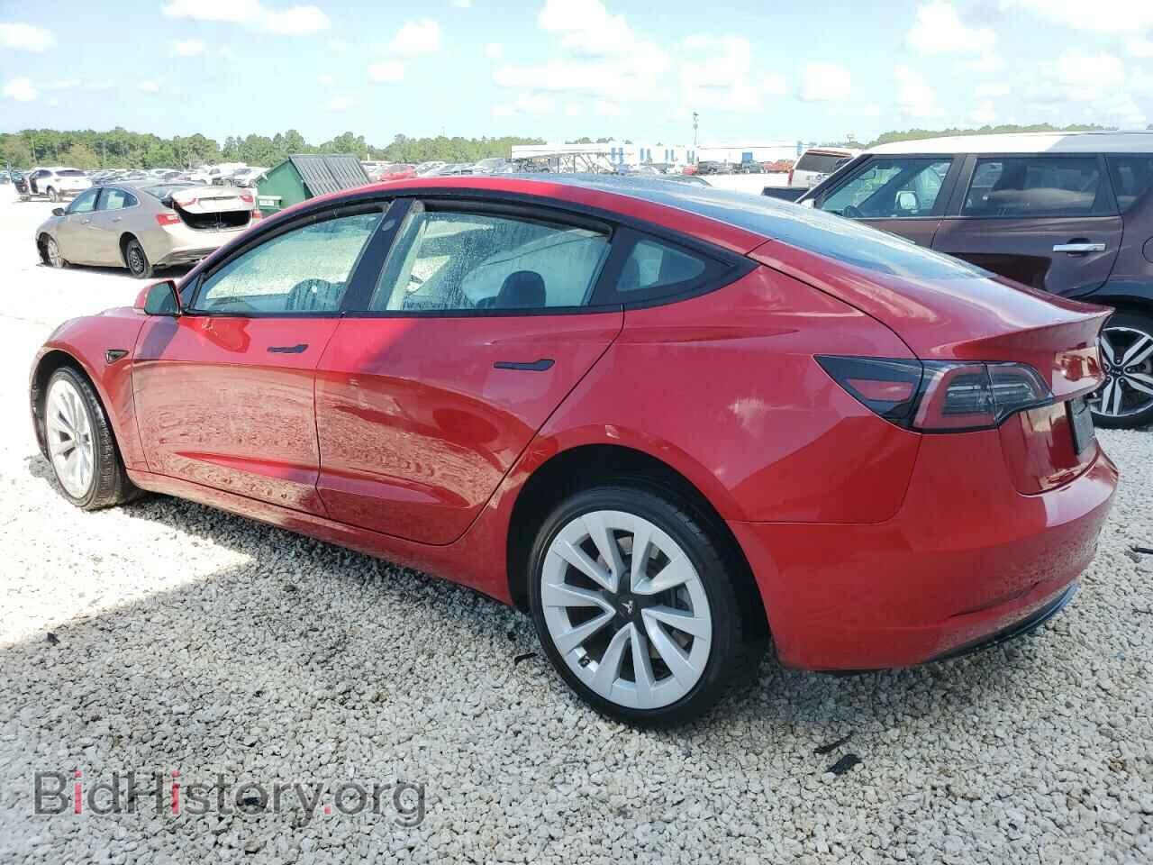 2023 TESLA MODEL 3 - VIN: 5YJ3E1EA6PF456196 - Photo 2