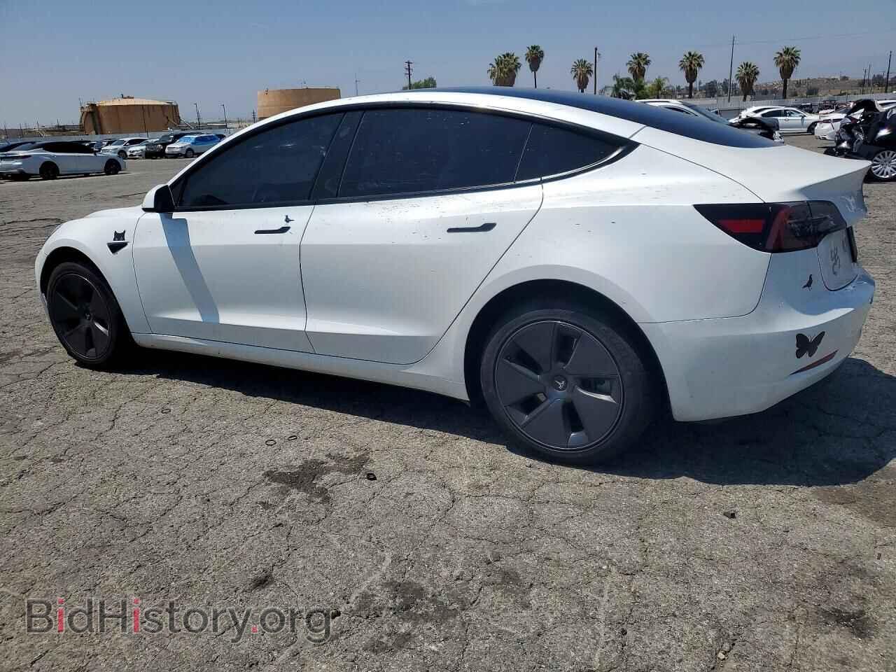 2023 TESLA MODEL 3 - VIN: 5YJ3E1EA1PF687359 - Photo 2