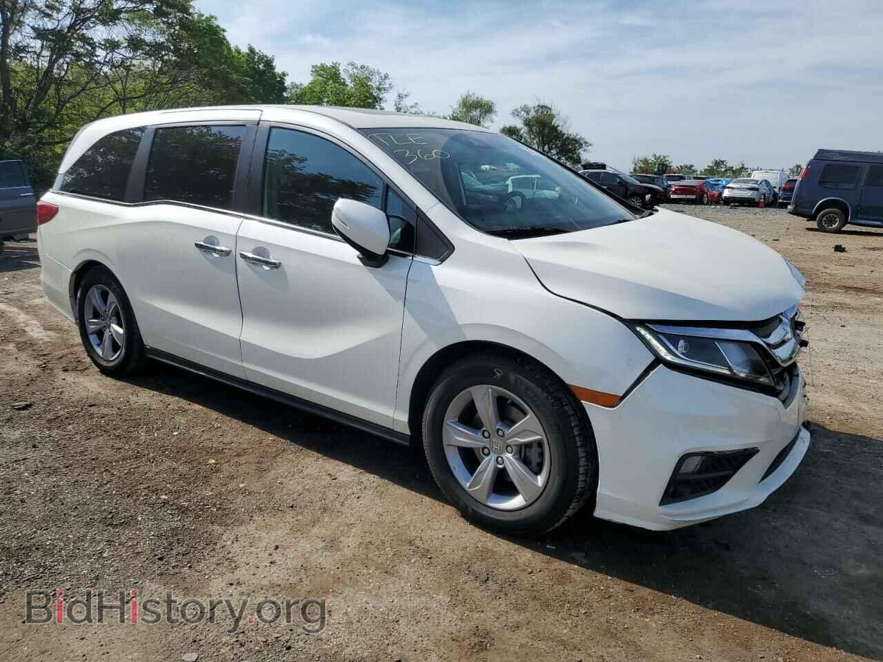 2019 HONDA All Models - VIN: 5FNRL6H75KB079043 - Фото 4