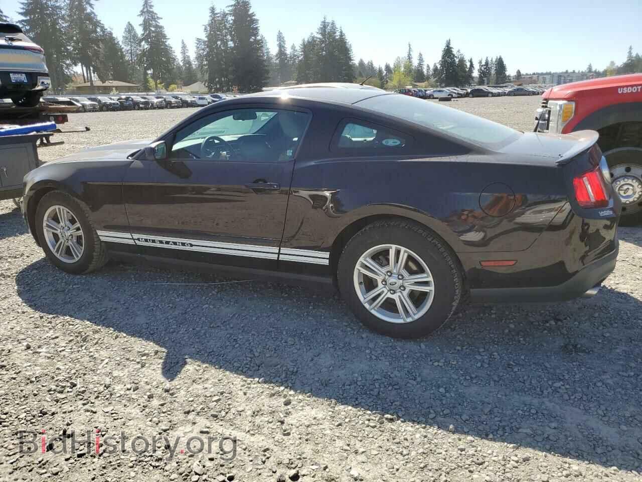2012 FORD ALL Models - VIN: 1ZVBP8AM5C5224048 - Фото 2