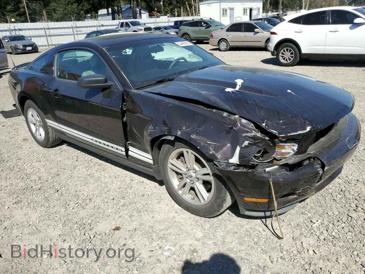 2012 FORD ALL Models - VIN: 1ZVBP8AM5C5224048 - Фото 4