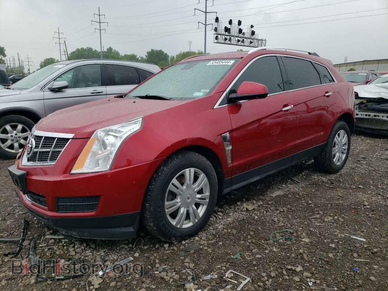 Фотография 3GYFNAEY3BS534597 - CADILLAC SRX 2011