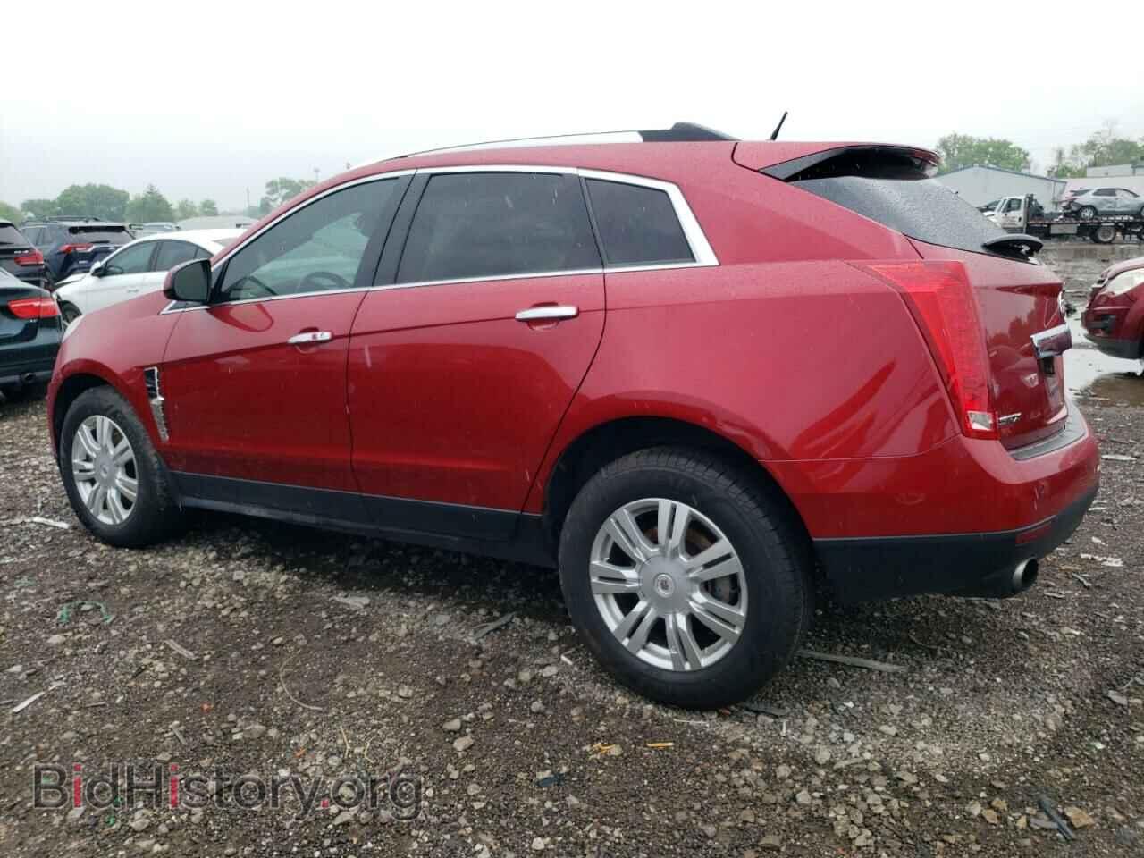 2011 CADILLAC SRX - VIN: 3GYFNAEY3BS534597 - Фото 2