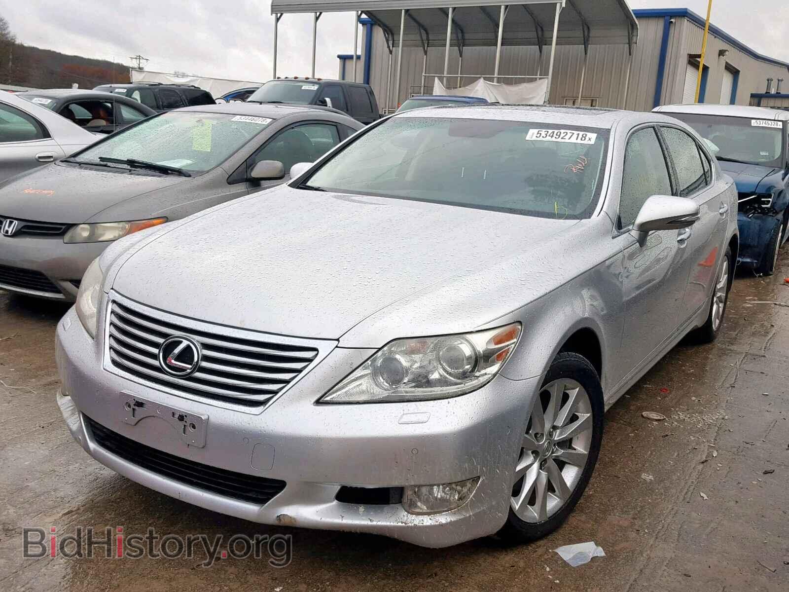 2010 LEXUS LS460 - VIN: JTHDL5EF2A5001334 - Фото 2