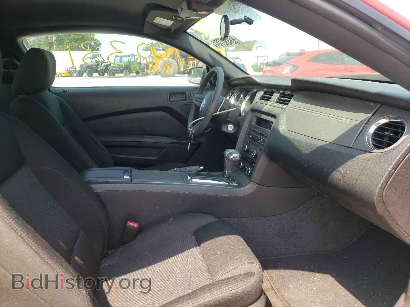 2011 FORD MUSTANG - VIN: 1ZVBP8AM8B5117364 - Фото 5