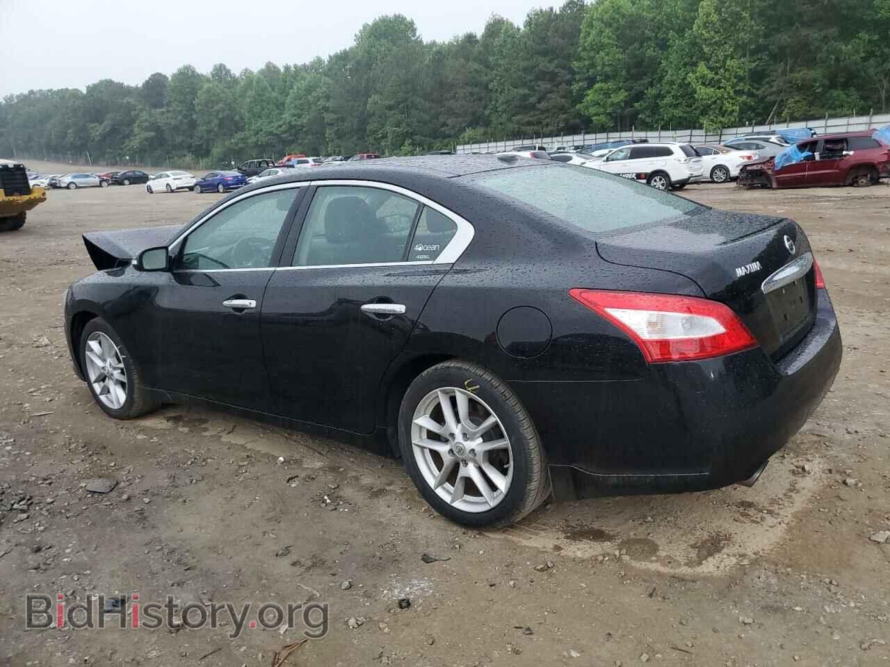 2009 NISSAN MAXIMA - VIN: 1N4AA51EX9C825005 - Фото 2