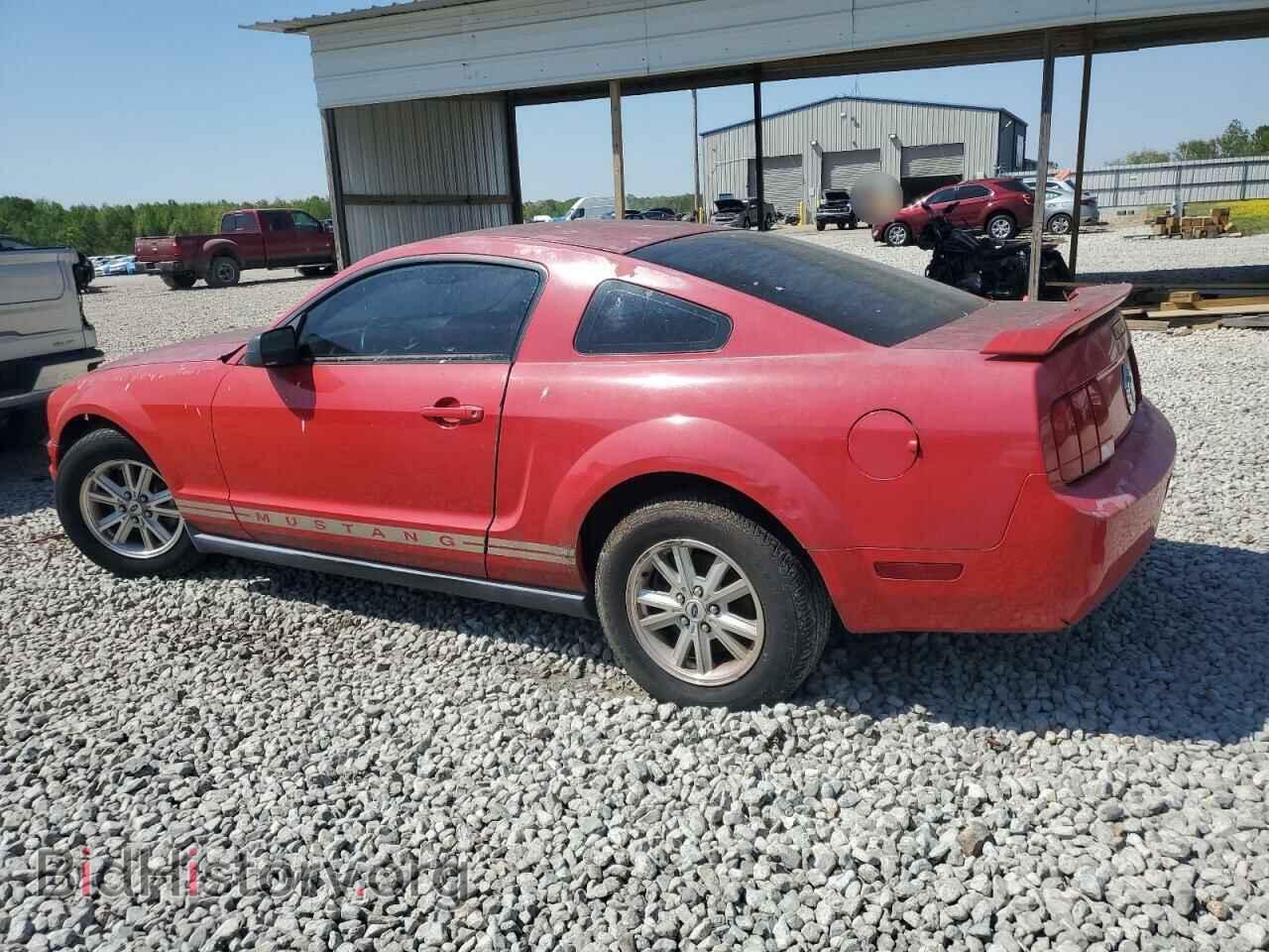 2005 FORD ALL Models - VIN: 1ZVFT80N155258384 - Фото 2