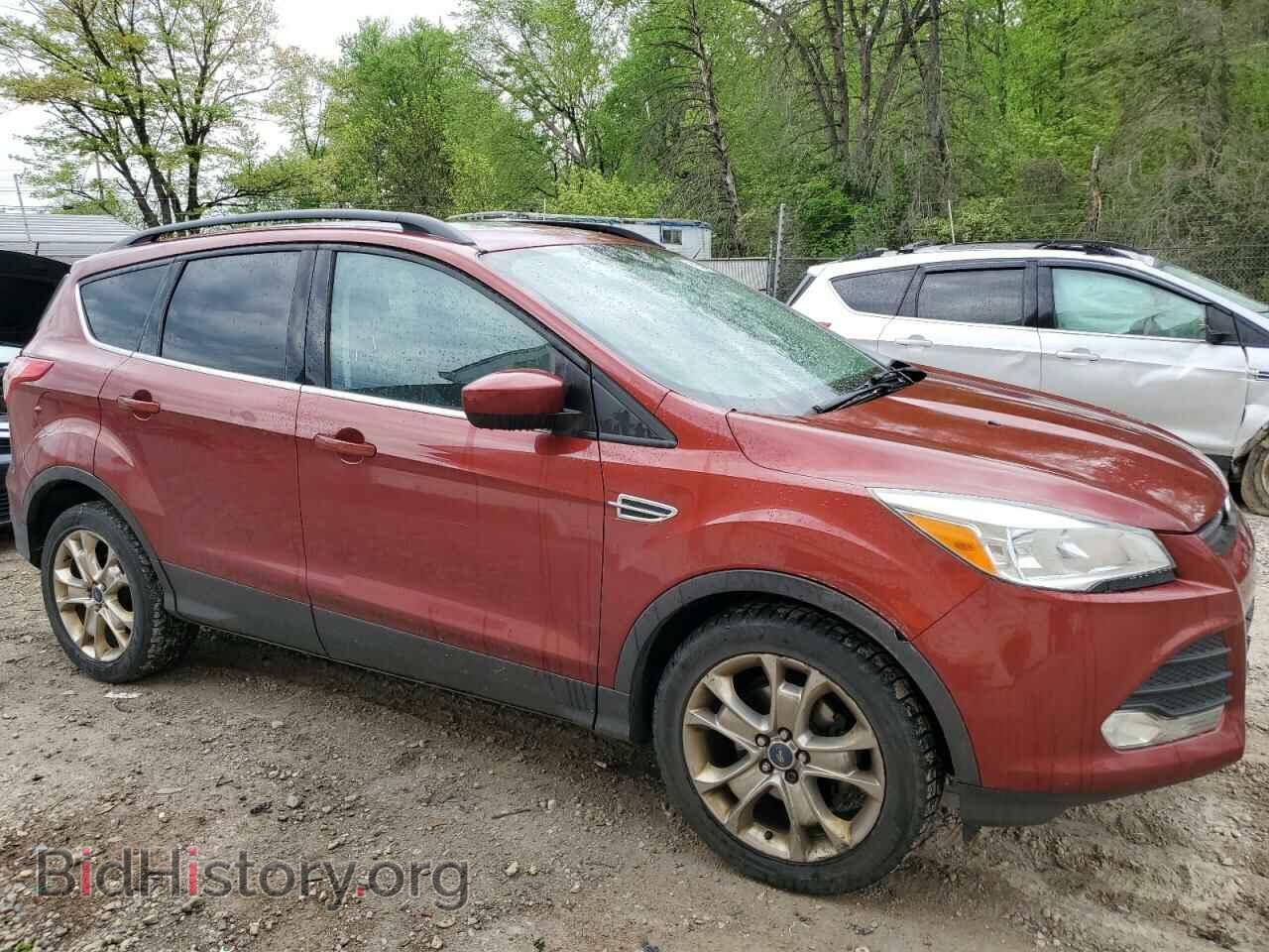 2014 FORD ESCAPE - VIN: 1FMCU0GX5EUA98667 - Фото 4