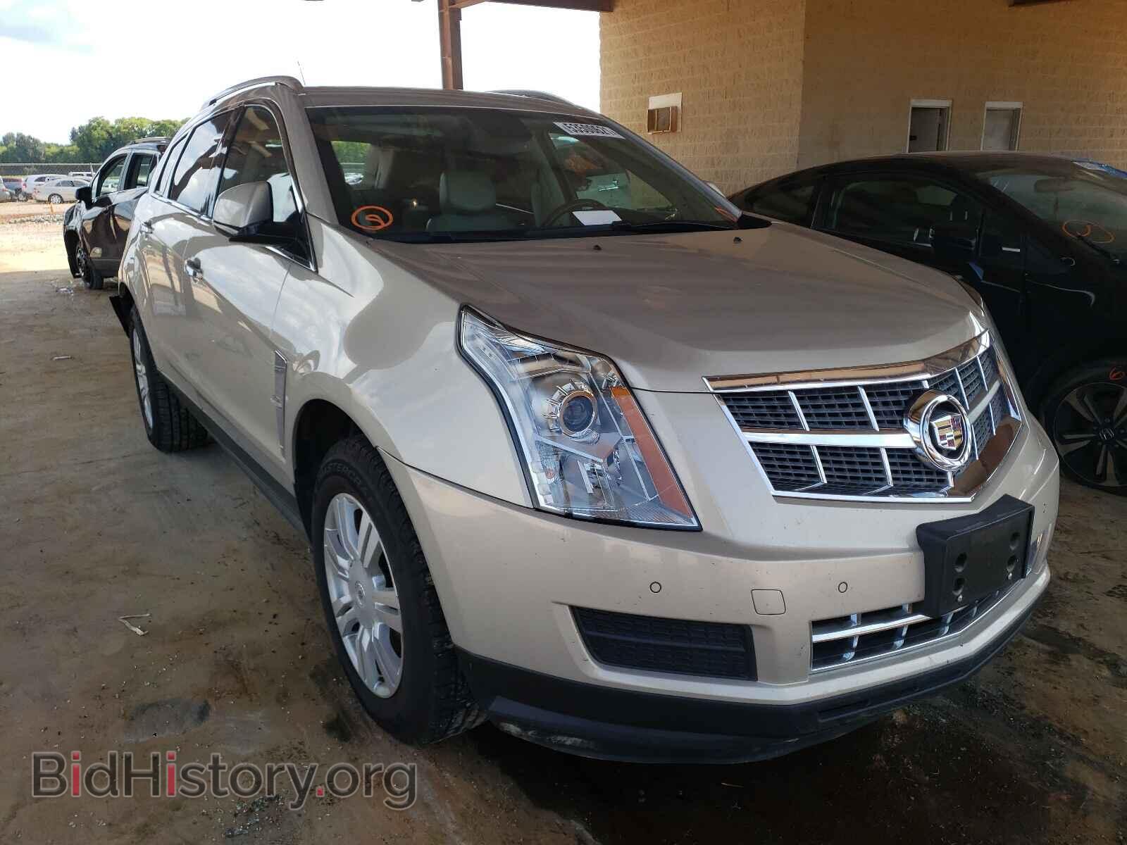 Фотография 3GYFNAEY8AS590940 - CADILLAC SRX 2010
