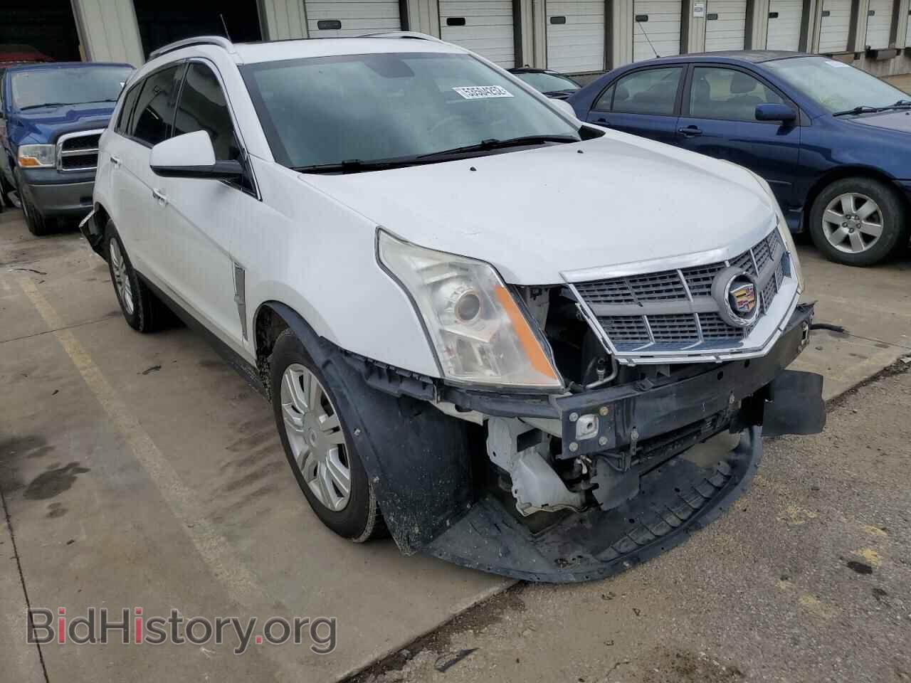 Фотография 3GYFNDEY8BS607965 - CADILLAC SRX 2011