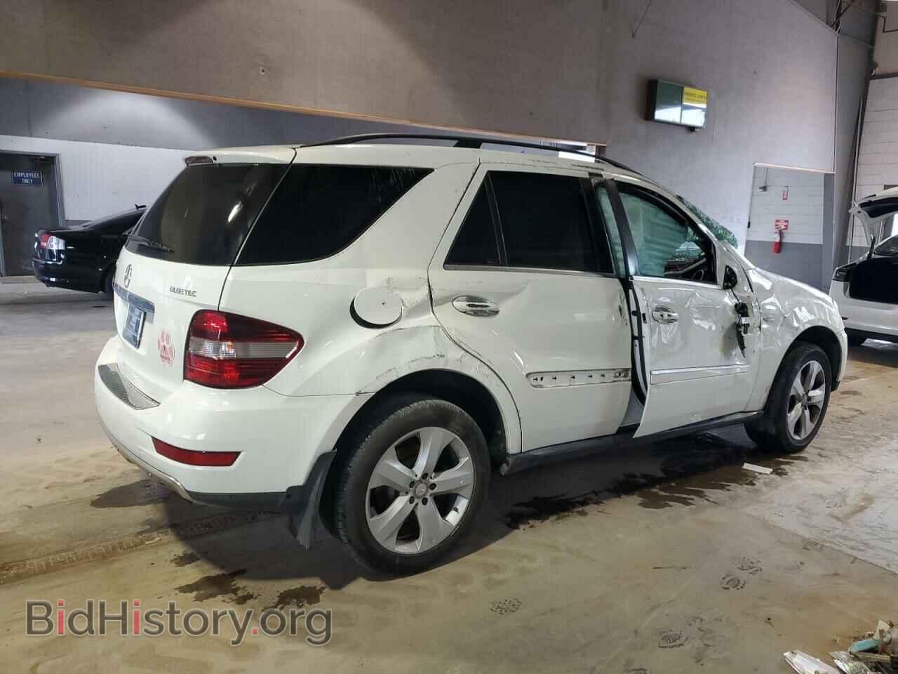 2011 MERCEDES-BENZ M-CLASS - VIN: 4JGBB2FB4BA699357 - Фото 3