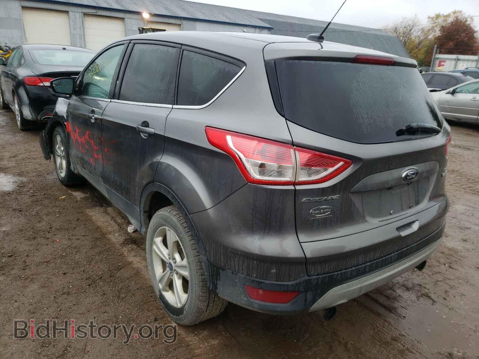 2013 FORD ESCAPE - VIN: 1FMCU0GX0DUB38975 - Фото 3