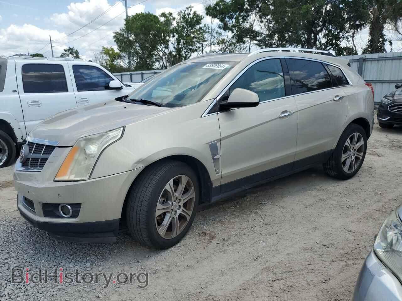 Фотография 3GYFNBE33CS632203 - CADILLAC SRX 2012