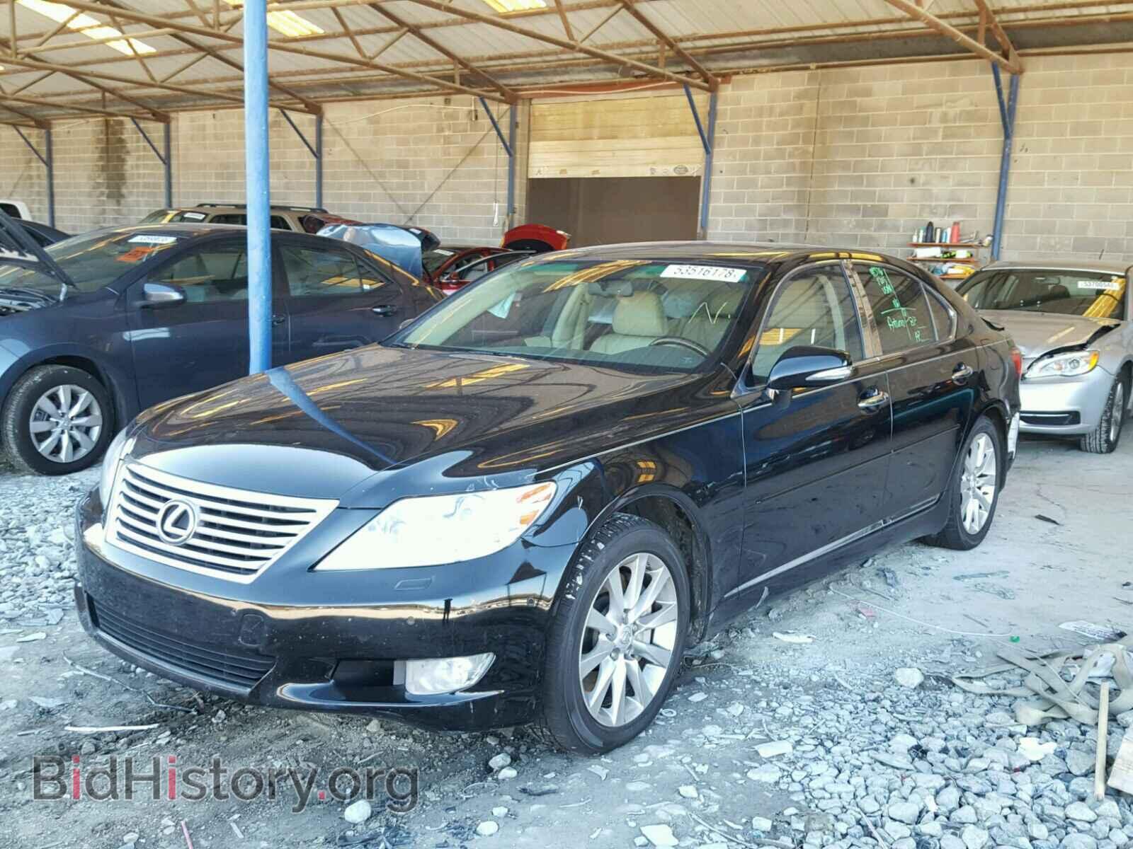 2011 LEXUS LS460 - VIN: JTHCL5EF9B5012425 - Photo 2