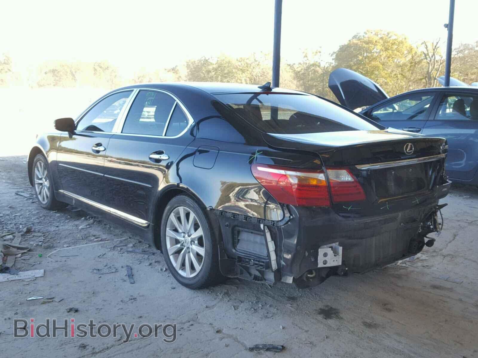 2011 LEXUS LS460 - VIN: JTHCL5EF9B5012425 - Photo 3