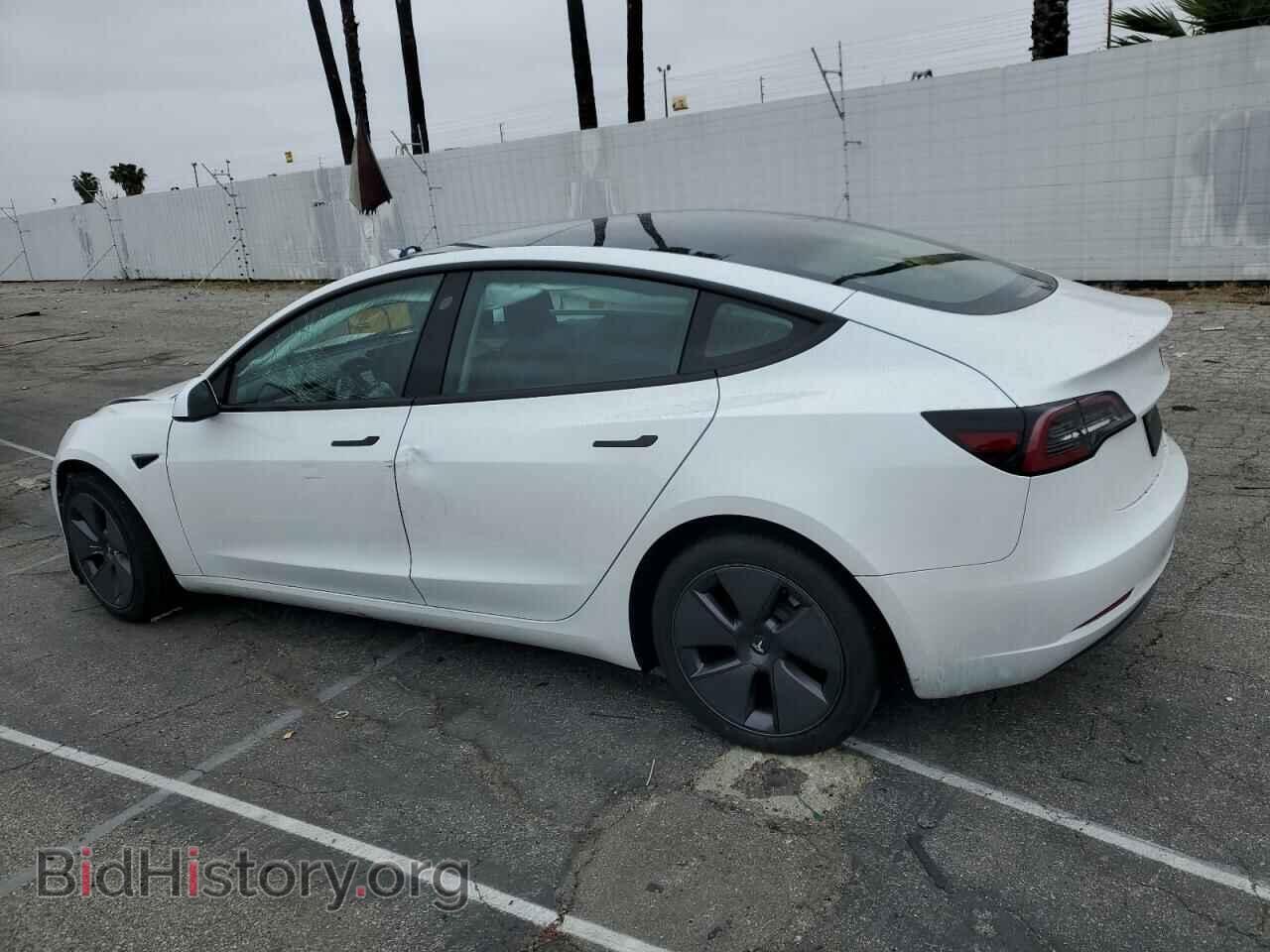 2023 TESLA MODEL 3 - VIN: 5YJ3E1EA8PF456247 - Photo 2