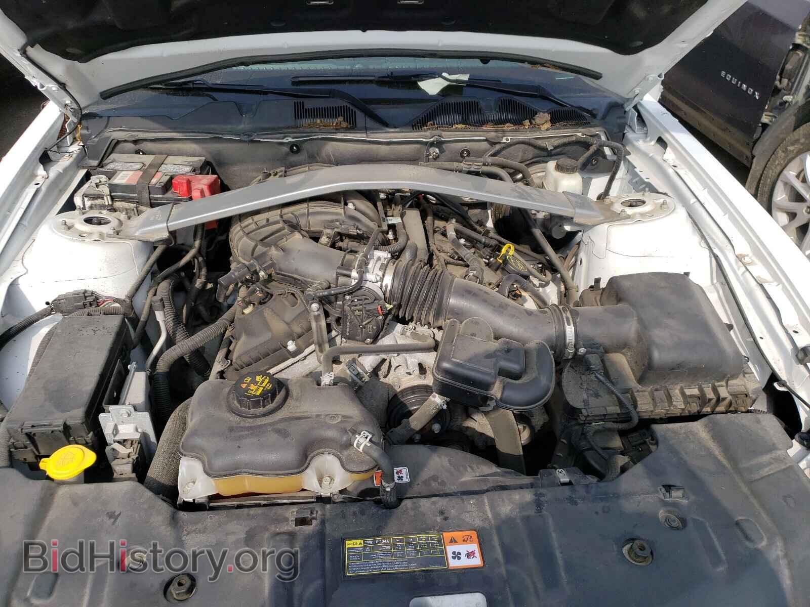 2014 FORD MUSTANG - VIN: 1ZVBP8EM2E5304999 - Фото 7