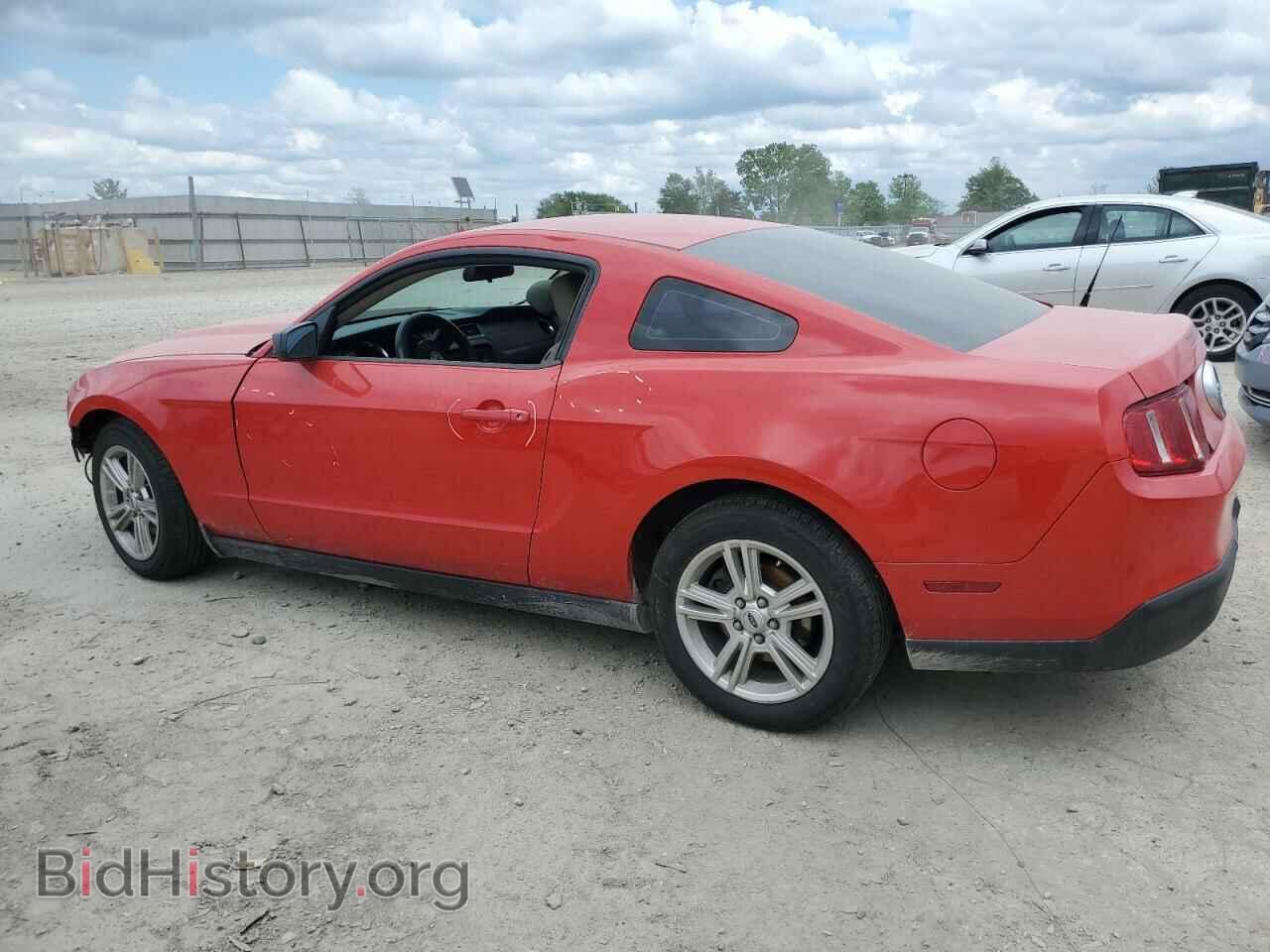 2010 FORD ALL Models - VIN: 1ZVBP8AN3A5129350 - Фото 2