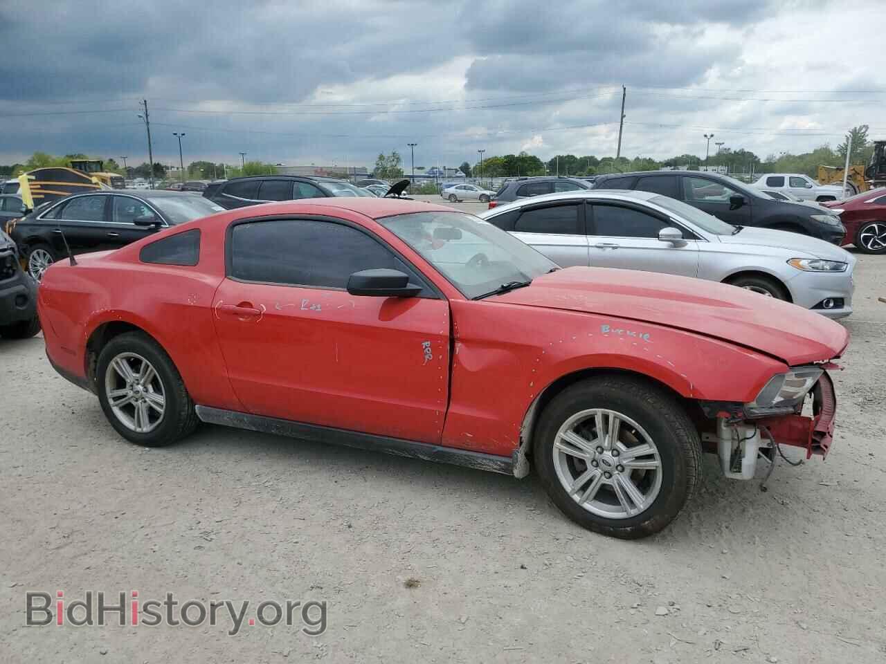 2010 FORD ALL Models - VIN: 1ZVBP8AN3A5129350 - Фото 4
