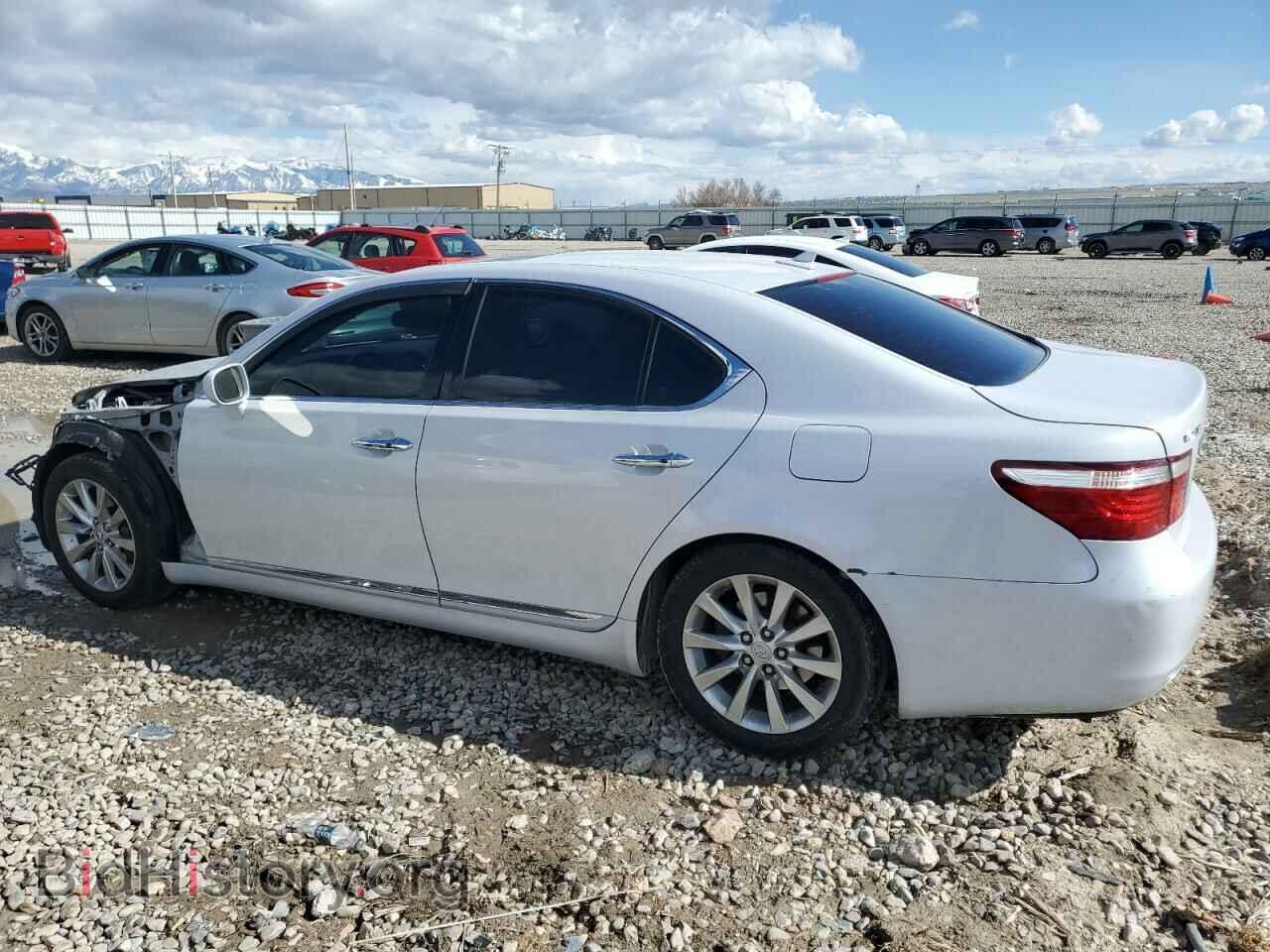 2008 LEXUS LS460 - VIN: JTHBL46FX85060285 - Фото 2