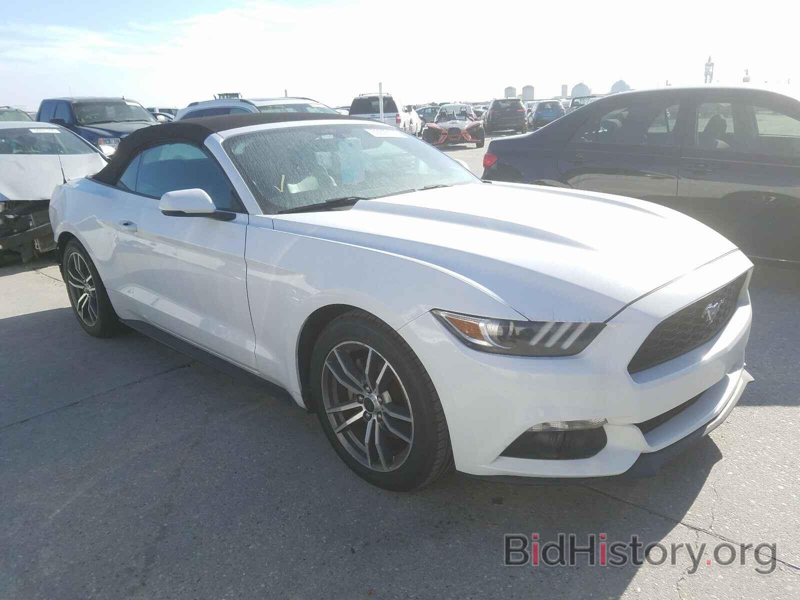 Photo 1FATP8UH8H5220451 - FORD MUSTANG 2017