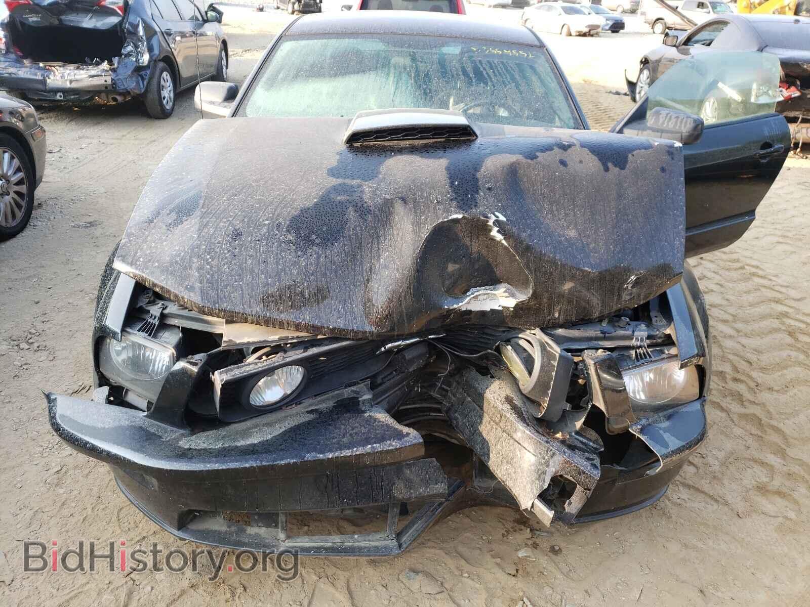 2007 FORD MUSTANG - VIN: 1ZVHT82H075224505 - Фото 7