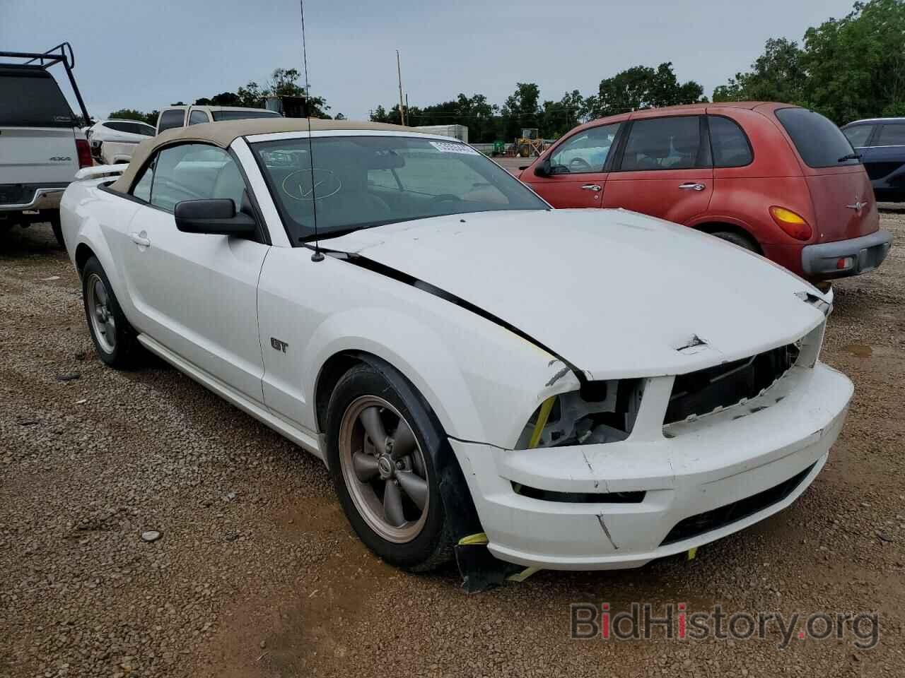 Photo 1ZVFT85H665110266 - FORD MUSTANG 2006