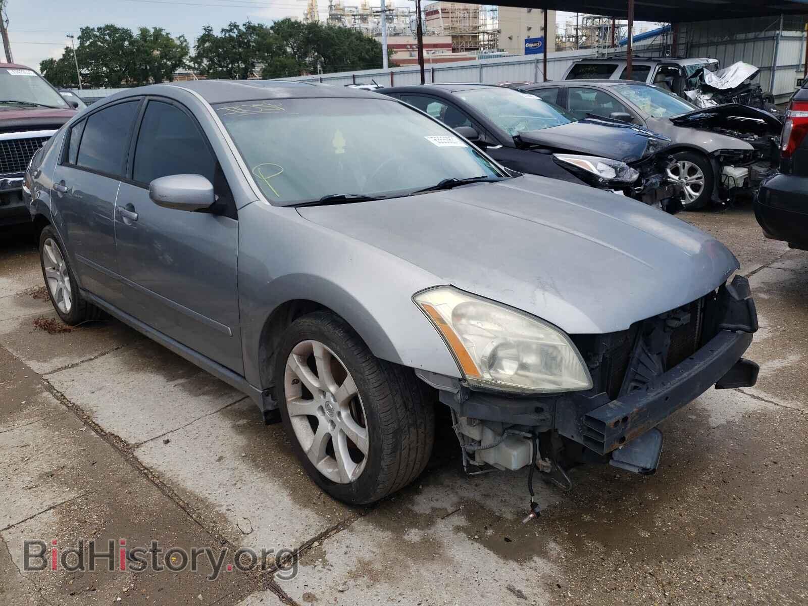 Photo 1N4BA41E88C835206 - NISSAN MAXIMA 2008