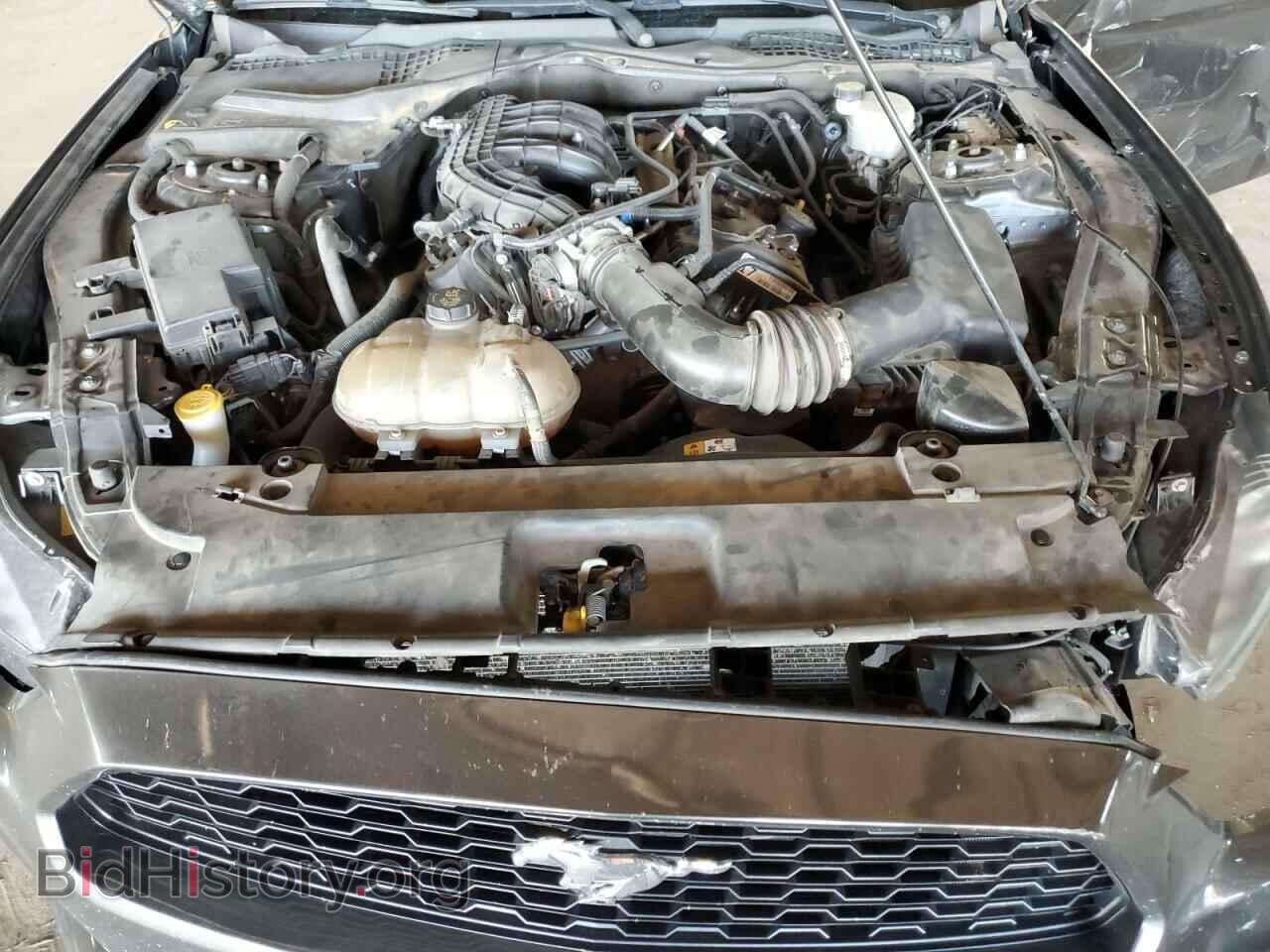 2017 FORD ALL Models - VIN: 1FA6P8AMXH5316967 - Фото 11