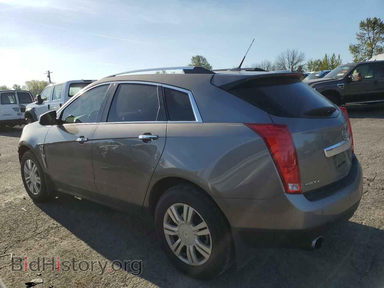 2011 CADILLAC SRX - VIN: 3GYFNDEY1BS648146 - Фото 2